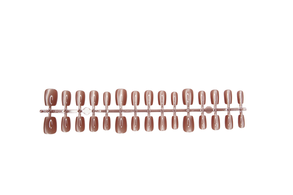 Pearl of my dreams - Delaene
