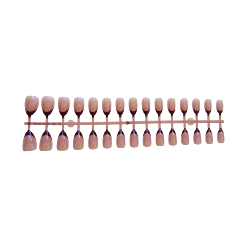 Two lines of press-on nails with sheer nude base and dark brown French tips in almomd shape, medium length, glossy finish, shown on hand. 15 nails on each line.